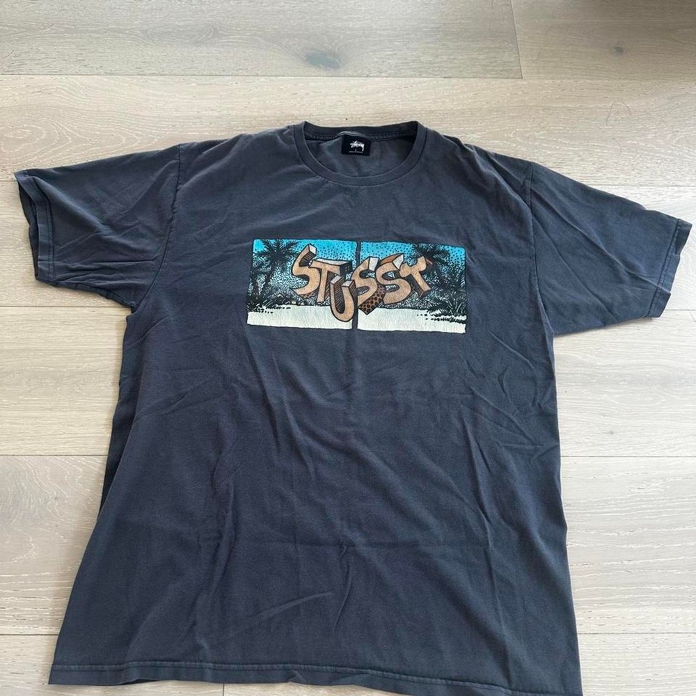 Stüssy stranded 90's t-shirt sz Large
